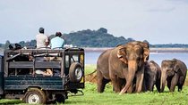 Full-Day Minneriya and Kaudulla National Parks Private Safari