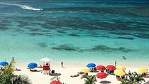Montego Bay Highlights Tour from Montego Bay