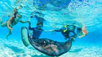Private Stingray City Snorkeling Half Day Charter for 10 Guests