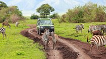 Tanzania Family Holiday; 8-Days Lodge Safari