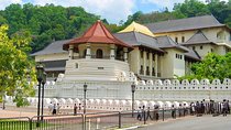 10 Days Sri Lanka Tour