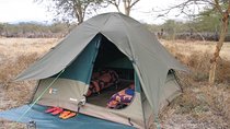 5 days Tanzania Camping Safari Tour 