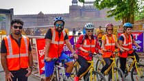 Old Delhi Cycling Tour