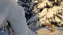 Private Snowshoeing Vitosha for 1 day