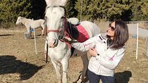 Private Horse Riding in Teteven Balkan from Sofia