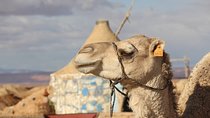 3 Days Trip: Valleys of Southeast Morocco & Erg Chebbi From Marrakech