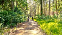 The Train Track Trail Mountain Bike Ride - Private experience