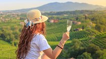 From Venice : Wine and Food tour in the Prosecco Hills 