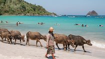 South Lombok Beaches Tour with Japanese-Speaking Guide