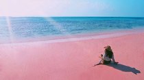 Visite L'île de Lombok: Pittoresque plage rose avec Guide Francophone