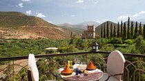Marrakech to Atlas Mountains, Waterfalls and Agafay Desert Day Trip