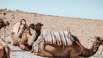 Excursion to Agafay Desert with Camel ride