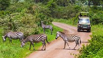 Tarangire National Park