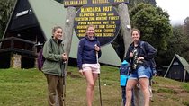 Mount Kilimanjaro Day Hike