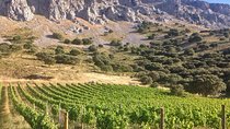 Antequera Classic Winery Tour