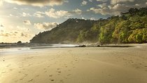 4 Days Manuel Antonio Beach & San José City Short Break from Manuel Antonio