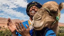Marrakech Experience: PalmGrove Camel Ride Excursion