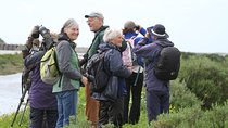 Half-day birdwatching at the Abicada marshed