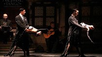 Early Tango Dinner-Show with Private Transfer