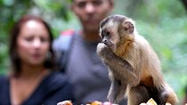 Durban: Visit a Museum of living Plants and a Sanctuary for Primates