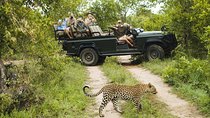 Durban: Big 5 Luxury Safari at an Award Winning Game Reserve — Zeiss Binoculars