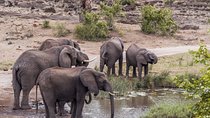 Durban: Hluhluwe Big 5 Budget Safari — Pro Zeiss Binoculars & Safari Guide Books