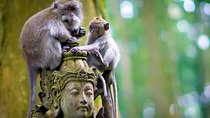 One Day Tour Bali - √Sangeh (Monkey Forest) √Bedugul √Sunset at Tanah Lot