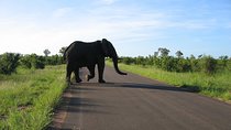 3 Day Kruger National Park Big 5 Safari