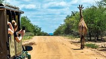 5-Day Kruger National Park & Panorama Route Tented Safari
