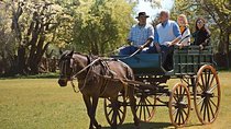 Private Day Tour to an Argentinian Estancia