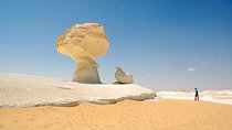 2 Days 1 Night White Desert From Cairo ( private )