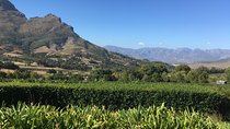 Full day South African Wine Tour (Stellenbosh, Franschhoek and Paarl)