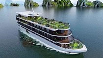 Full-Day Ha Long Bay & Lan Ha Bay Cruise with Hotel Pickup