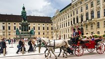 Private cruise ship special full day in Vienna