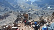 Mount Kenya National Park Full-Day Hike