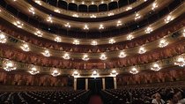 Premium City Tour with visit to Teatro Colon in Buenos Aires