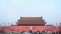 Beijing Private Tour of Forbidden City Summer Palace and 798 Art Zone