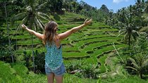 Private Guided Cultural Day Tour of Barong Dance and Ubud