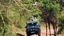 2-Day Tanzania Small-Group Safari from Arusha