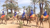 Private Palm Grove Camel Ride With A Tea Break.
