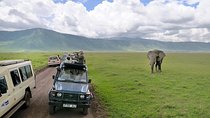 2-Day Lodge Safari with Hotel Pickup in Arusha