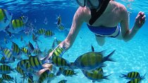Snorkel in the turquoise Caribbean Sea in Puerto Morelos. Transport included