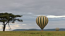 3 Days Private Serengeti and Ngorongoro Safari
