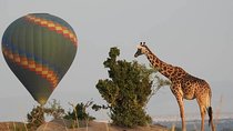4 Days Luxury Lodge Safari To Tarangire, Serengeti & Ngorongoro Crater.