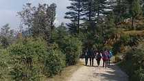 Nature Walk of Mussoorie (2 Hours Guided Walking Tour)