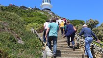 Full-Day Tour to Cape Point and Cape of Good Hope