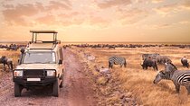 4-Day Discover Maasai Mara and Lake Nakuru Safari on 4x4 Jeep