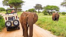 14 Days Private Safari in Kenya and Tanzania from Nairobi