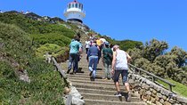 Private Day Tour to Cape of Good Hope Penguins Inc Entry Tickets from Cape Town