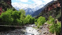 Full Day Private Tour To Atlas Mountains from Marrakech